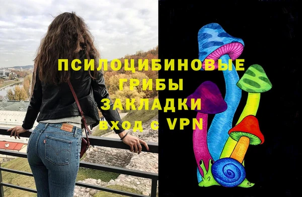 шишки Карпинск