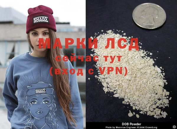 тгк Кинешма