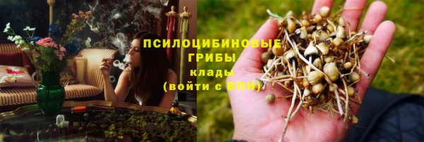 тгк Кинешма