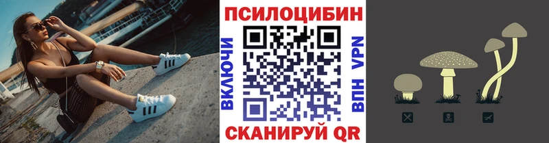 Купить где  Абакан  Псилоцибиновые грибы GOLDEN TEACHER 