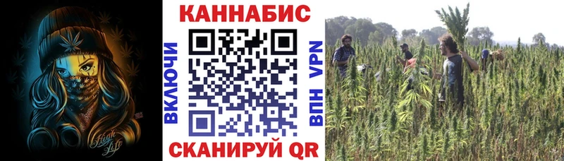 Купить  Абакан  Конопля Bruce Banner 